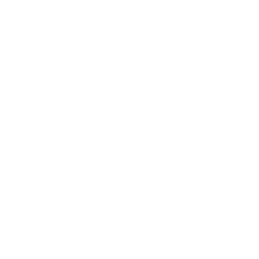 Career Growth & Mentorship